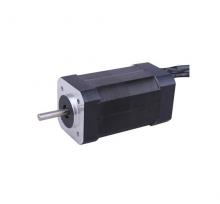 42mm burshless dc motor