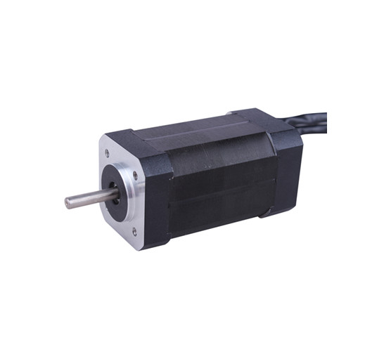 42mm burshless dc motor